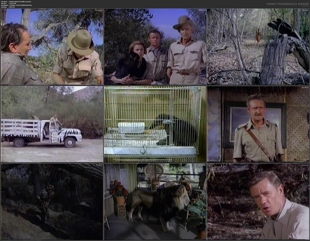 Daktari S01E03 The Killer Lion.mkv