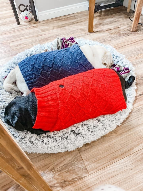 0AFC719E-91FF-4F07-AC29-614FAFC208AD