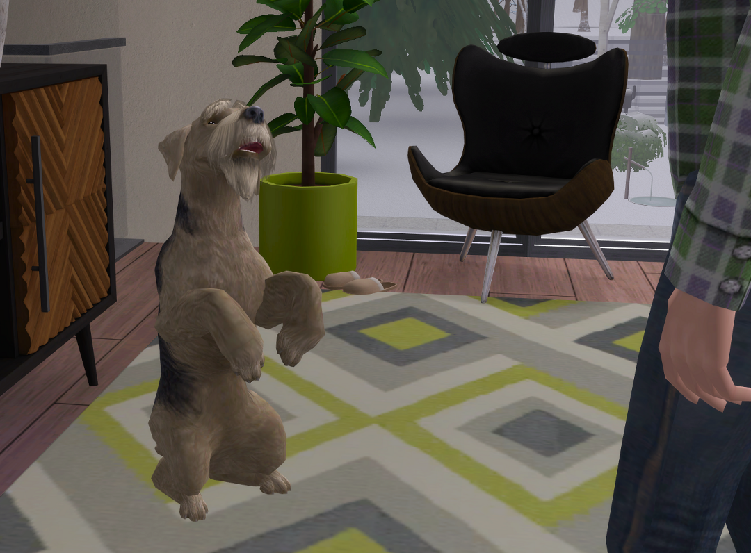 ksnip-20250622-122450