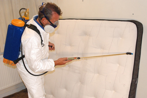 Orlando bed bug treatment