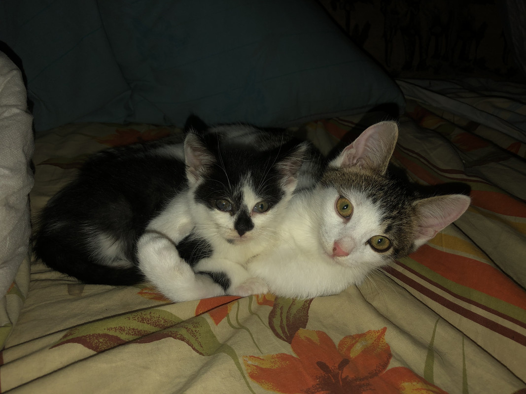 47DFCD88-DCAA-4FBA-AE5B-8588D5F486B2