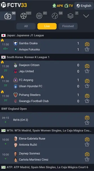 FCTV 33 APK 