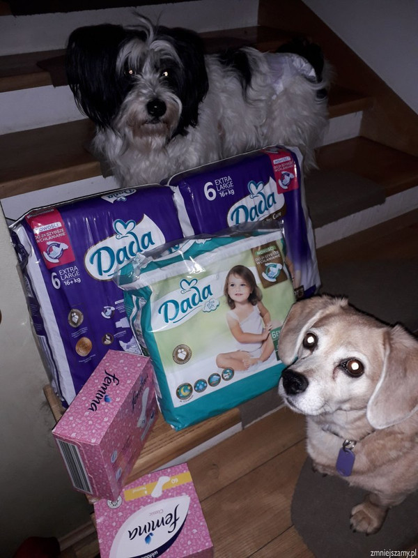 img-20200425034039-Dada-zmniejszamy-pl.j