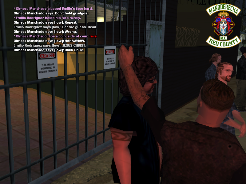 SSRoleplay511.png