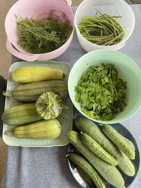 photo_2024-07-19_11-19-17