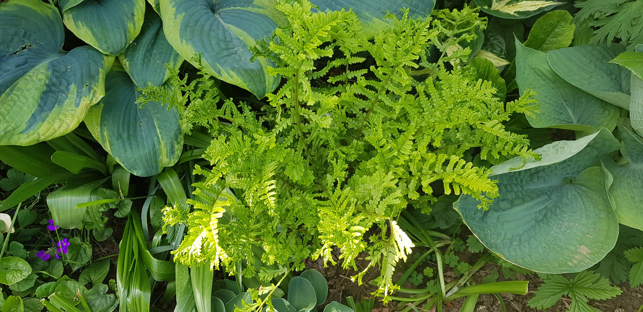 20190512_111943