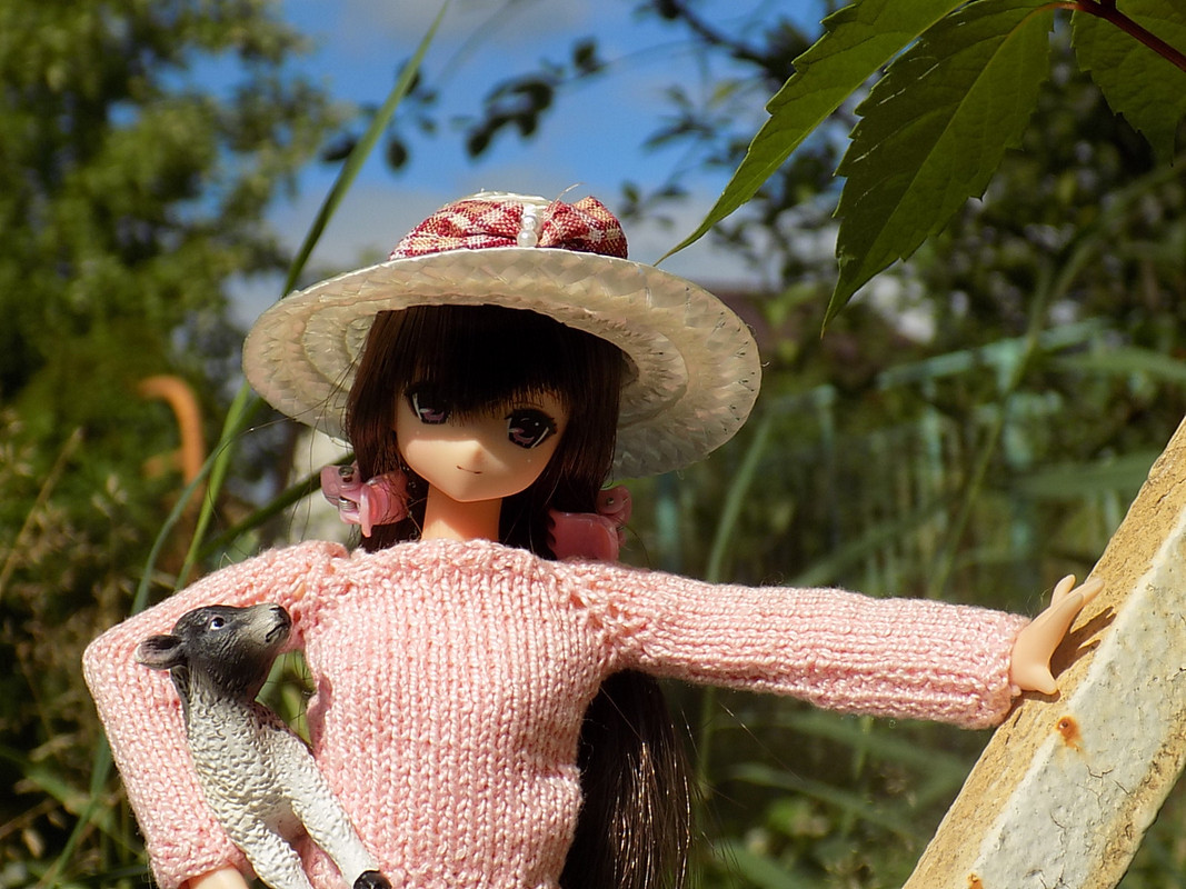 Дачное июль 2016 116