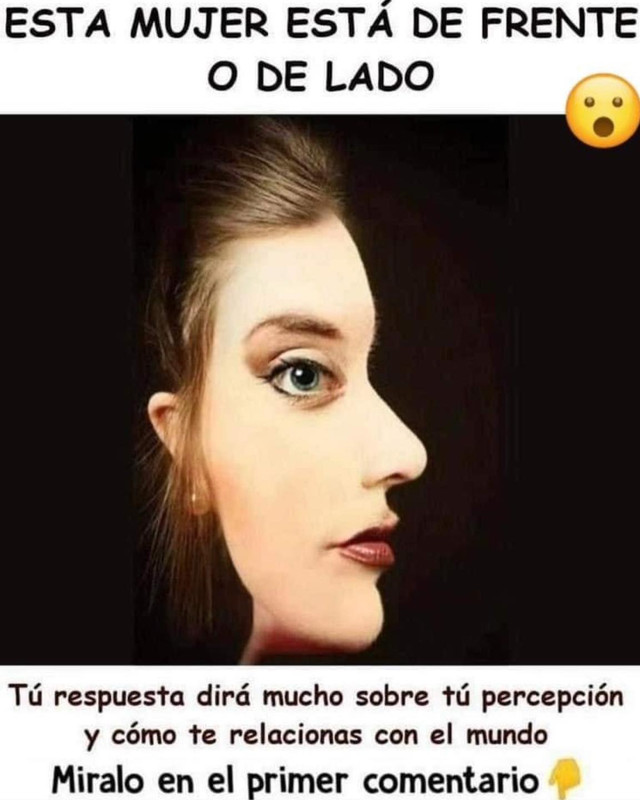 [Imagen: mujer.jpg]