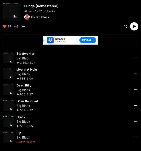 screenshot on soundcloud of "lungs" by big black