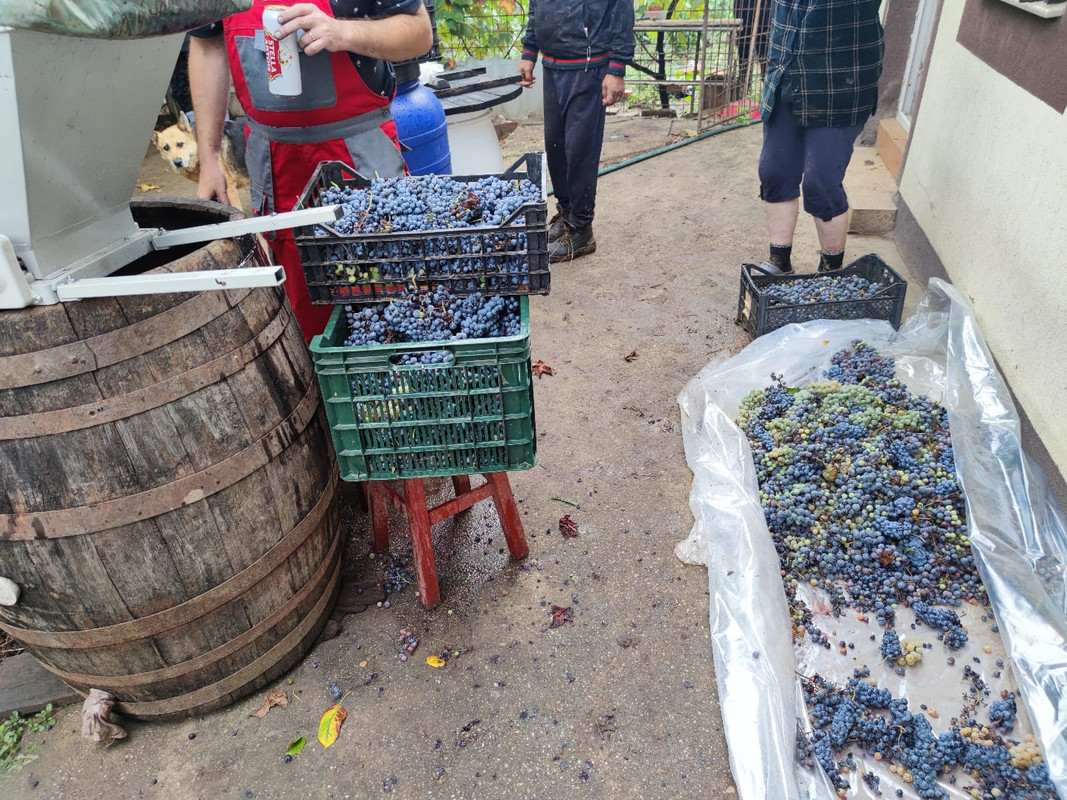 Изображение WhatsApp 2024-09-14 в 13.50.13_d32aef7e