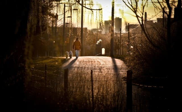 High-Park-Toronto