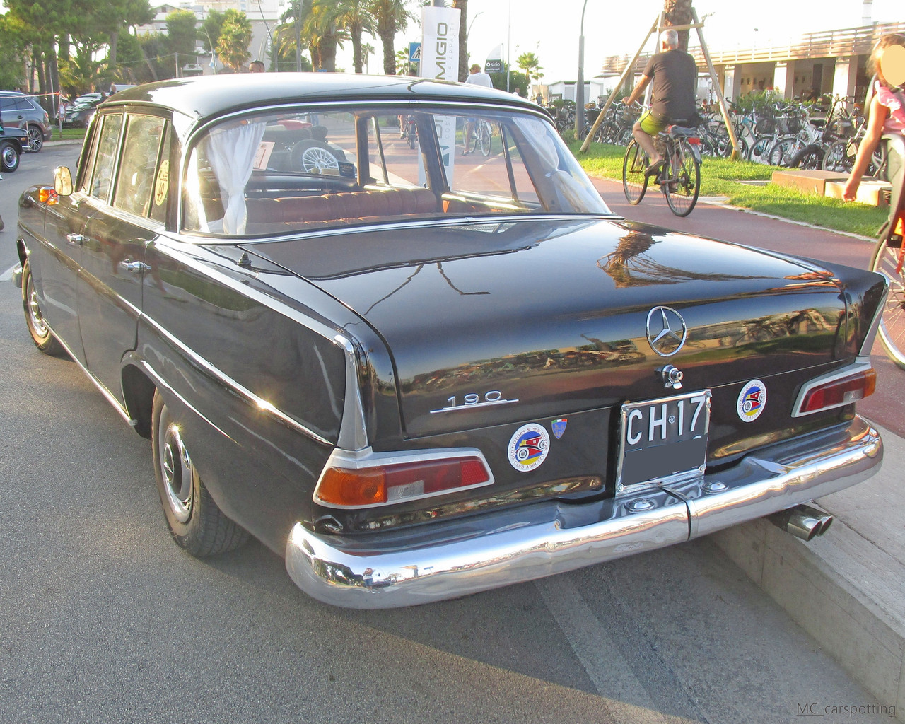 IMG-8944.jpg