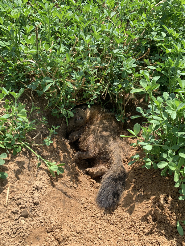 4EB8702C-01B4-40F5-B5A2-5DAB2E291565