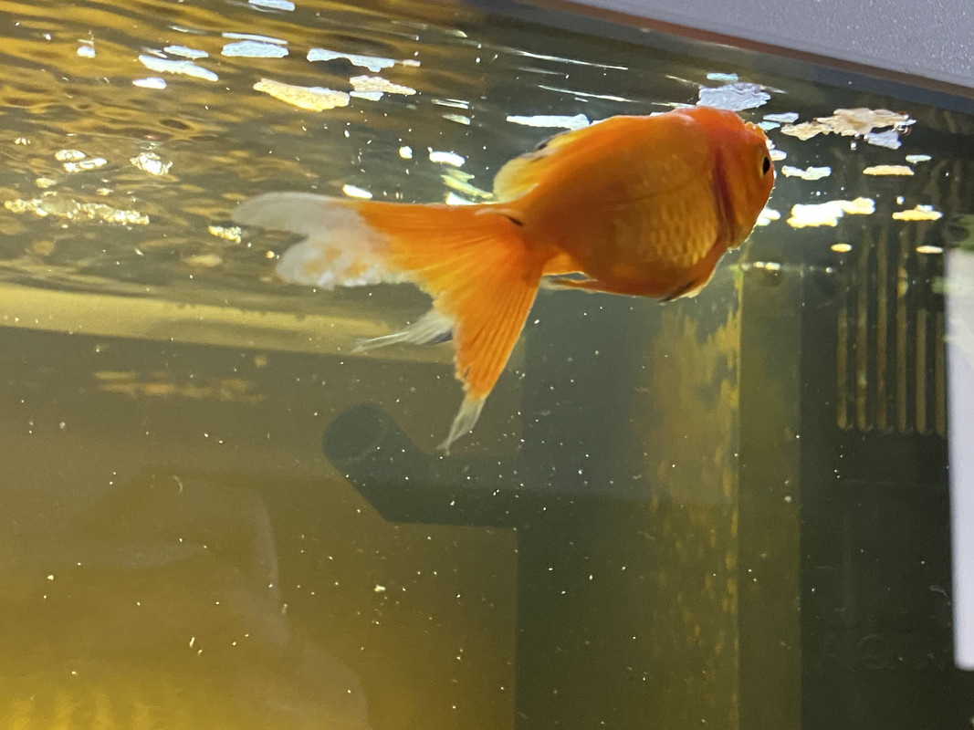 14DDB3FB-64C5-46CC-AB81-0A2B984A18F4