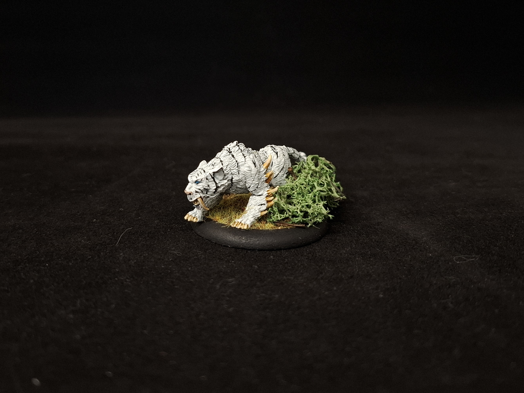 [Image: Elfe-nuit-eclaireur-07.png]