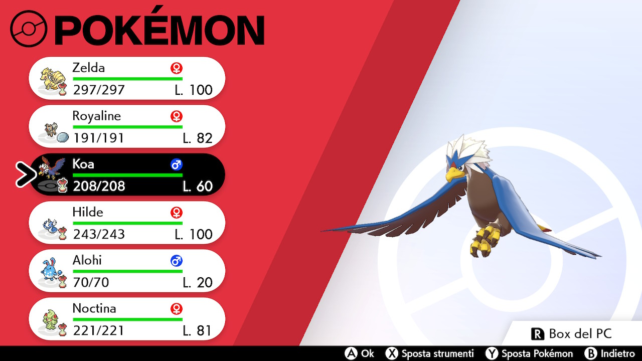 2021030220125800-3-C66-B776-DB1-AA063230