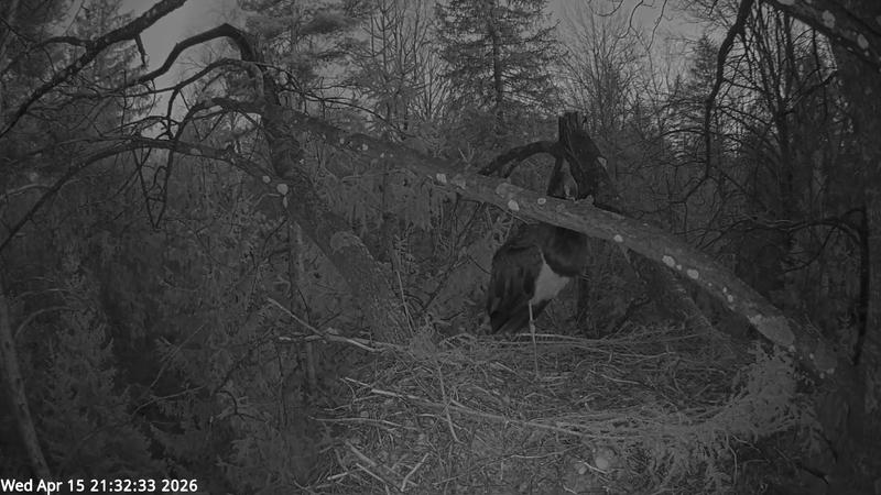 2026 04 15 k 21 32 33