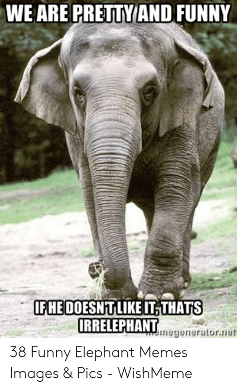 elephant.png