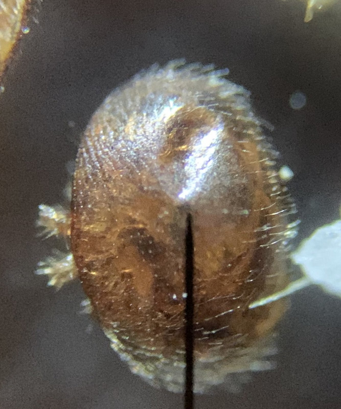 515A45DA-E9A5-4F38-B442-24E6A81E5768