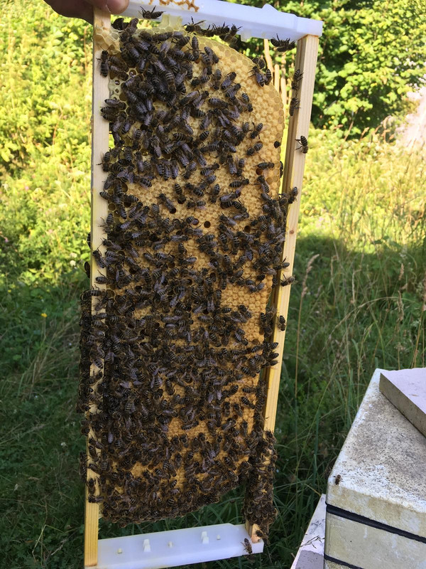 F8841B54-E702-41EA-AA84-A51D643EAA59