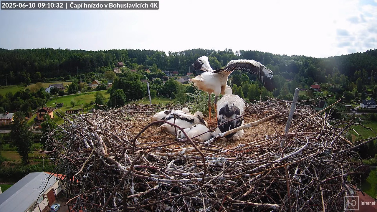 Tiešraide no KARA uzņēmuma stārķu skursteņa Bohuslavicē netālu no Trutnovas 11-44-50 screenshot