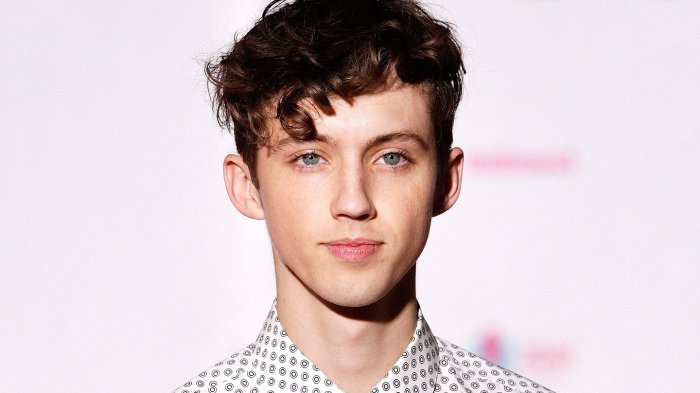 troye-sivan-20170727-220805.jpg