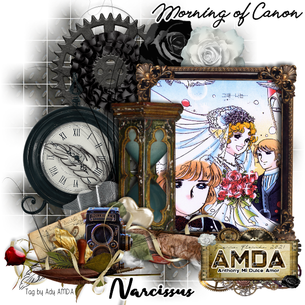 AMDA:: Entrega de Tag ::MORNING OF CANON:: TAGMOCnarcissus