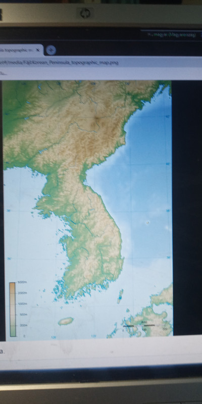 Kép