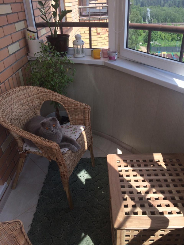 WhatsApp Image 2020-06-07 at 12.06.50