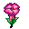 30755.gif