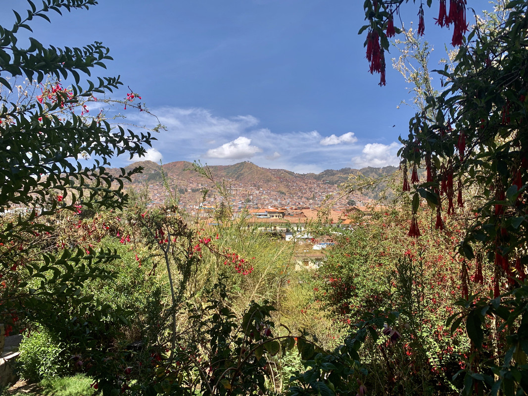 34A5BE7F-CB70-410C-8988-45543A3AA188