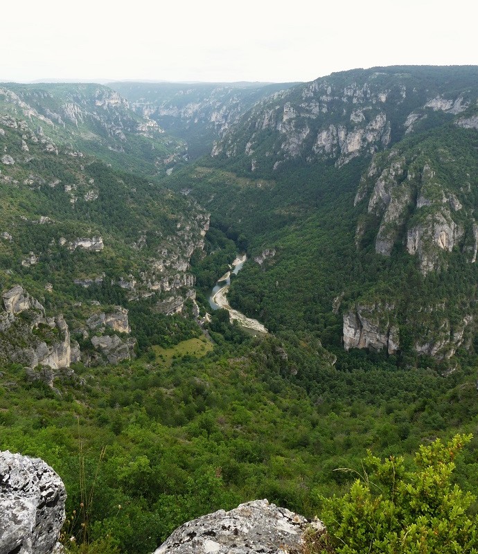 P1090182.jpg
