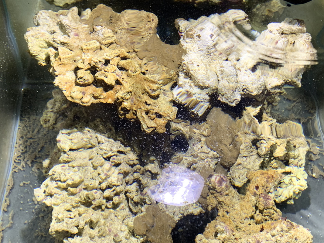 D5EBBF70-93CA-4BE6-AD37-E1468E2BA7EC