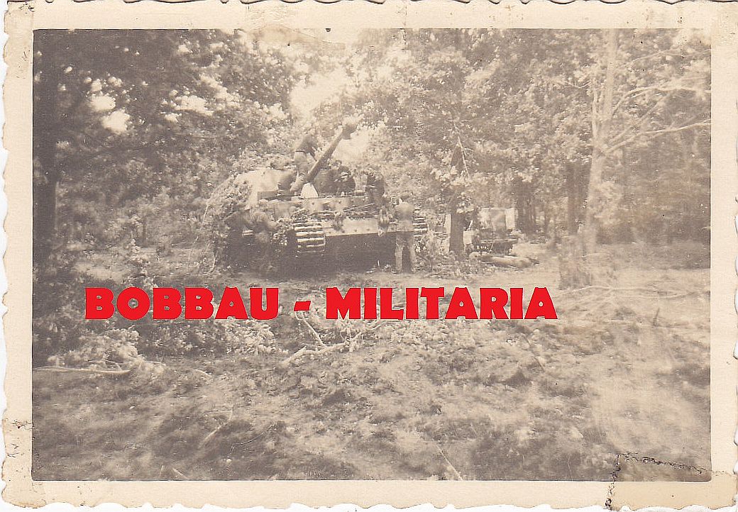 Panzerjäger Tiger (P) Ferdinand Jagdpanzer Elefa