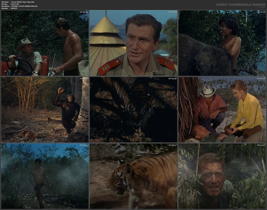 Tarzan S02E01 Tiger, Tiger.mkv