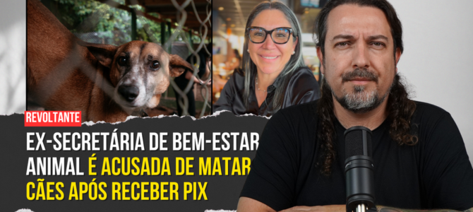 Canoas-RS: ex-secretária da causa animal acusada de matar cães após pedir PIX para tratá-los