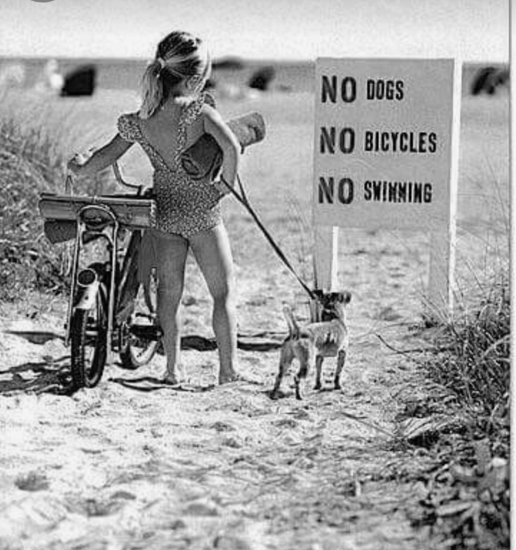 Screenshot_20231201_230128_Pinterest