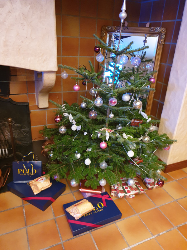 sapin 2020