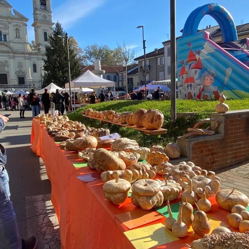 Sabato 15 e domenica 16 novembre 2025 a Santena (To) torna la Sagra della Zucca
