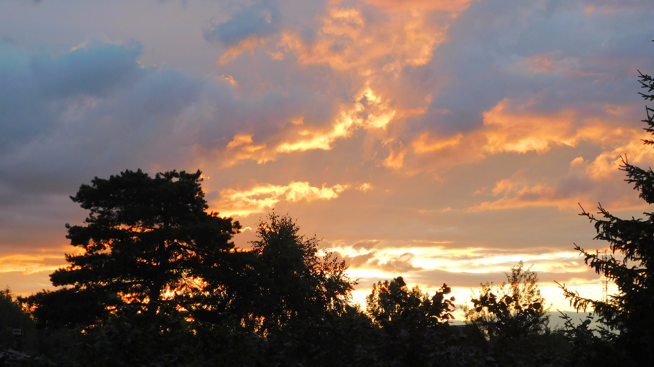 Дачное Маттел к Хелл 2025, Харли и Ко продолжение 014