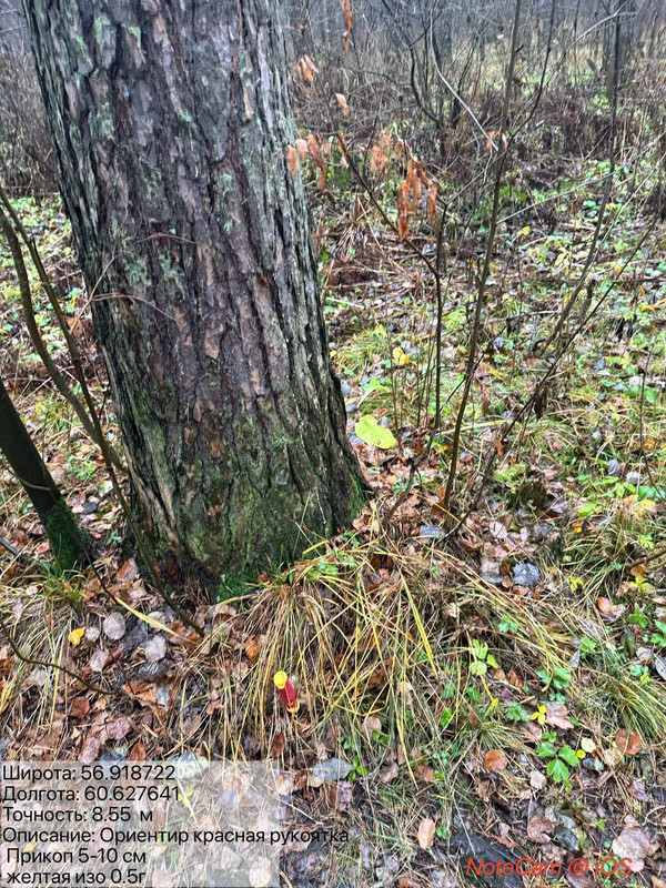 photo 10 2025 10 30 14 47 12