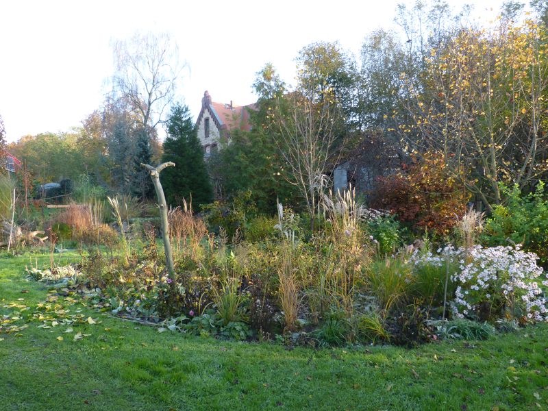 2014-11-07 Gräserbeet 4