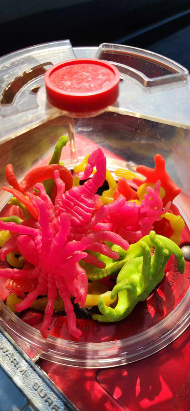 375019921_137389952778030_5946774087959429643_n