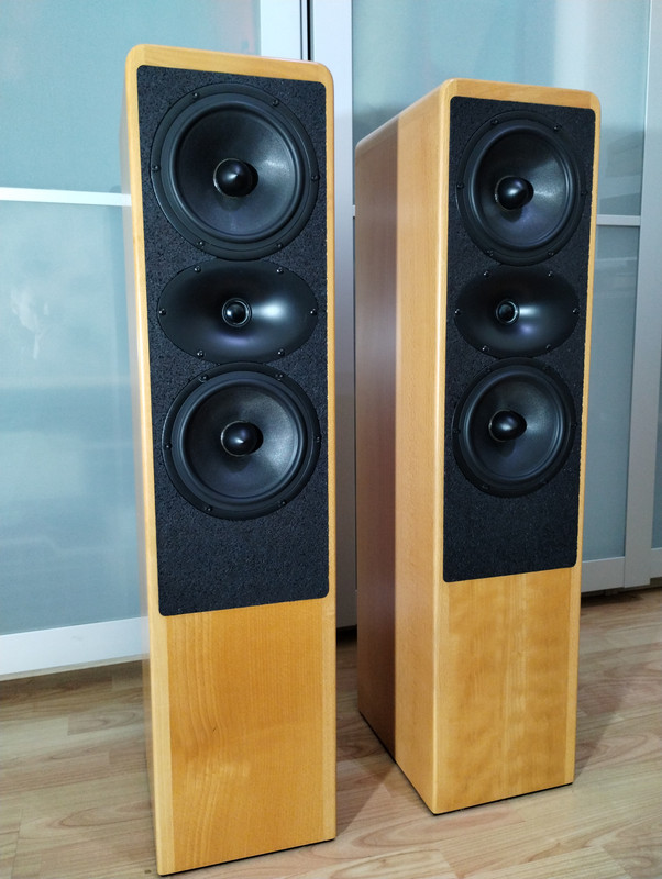 IMG_20241208_170258738