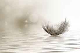 [Image: t-l-chargement.jpg]