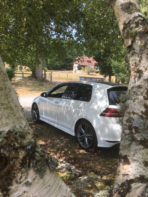 9EEA7F1B-F89C-4C75-8E6A-2E390E4F55C8