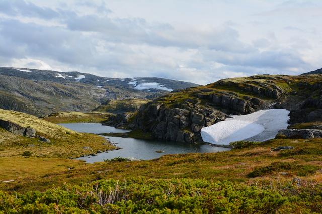 21 días por el Sur de Noruega - Blogs de Noruega - Día 10. Crucero por el Naeroyfjord (6)