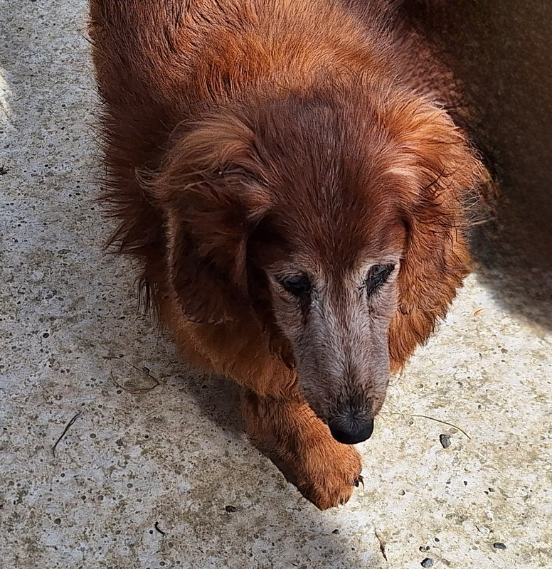 [Image: 20240415-114752.jpg]