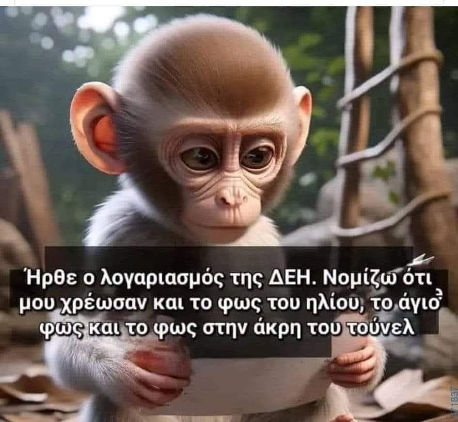 743484642 1080739564526292 4485644009026772101 n