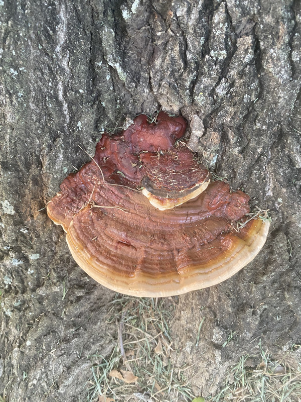 A0823E7D-9228-46D2-BD3F-53099AAE0E40